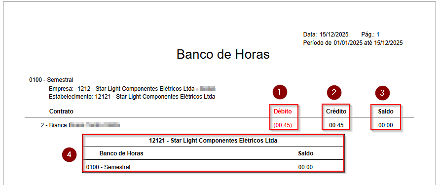2025-12-15 09_12_04-Chat _ Suporte Flow FR _ Metadados Assessoria e Sistemas _ sara.mello@metadados..png